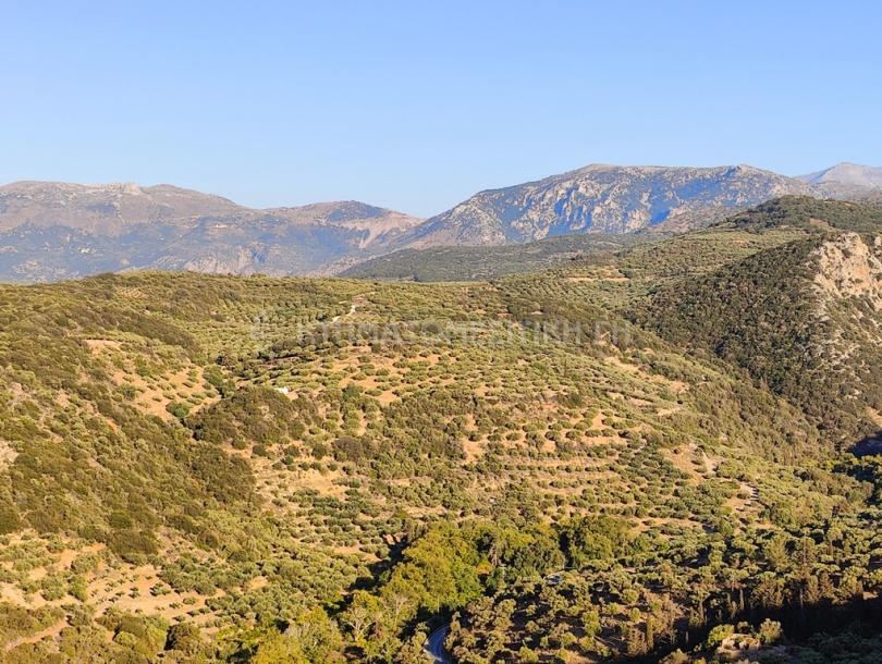 φωτογραφία ακινήτου