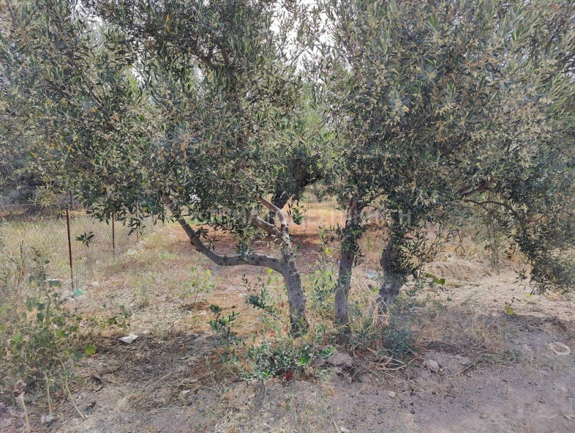 φωτογραφία ακινήτου