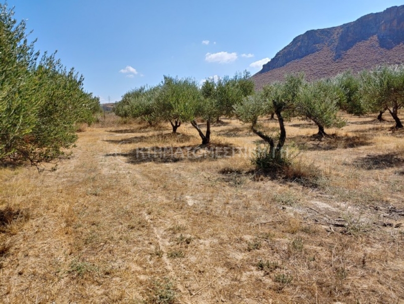 φωτογραφία ακινήτου