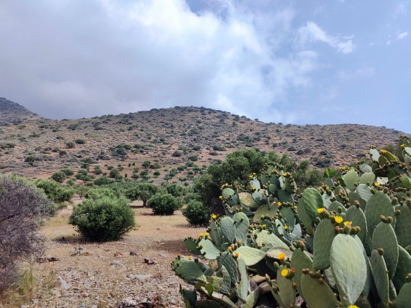 εικόνα ακινήτου