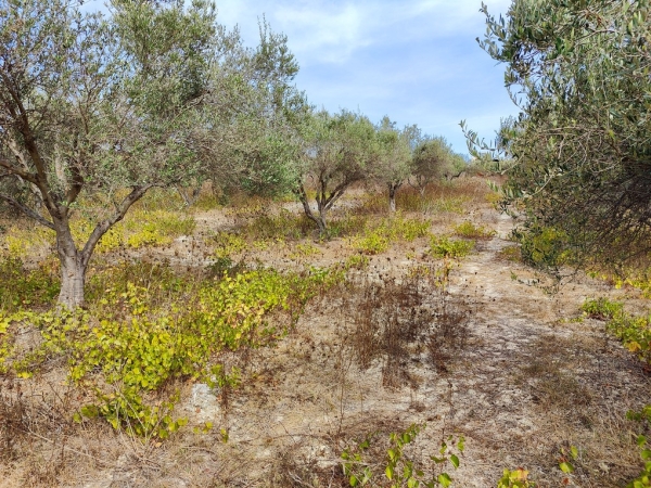 εικόνα ακινήτου