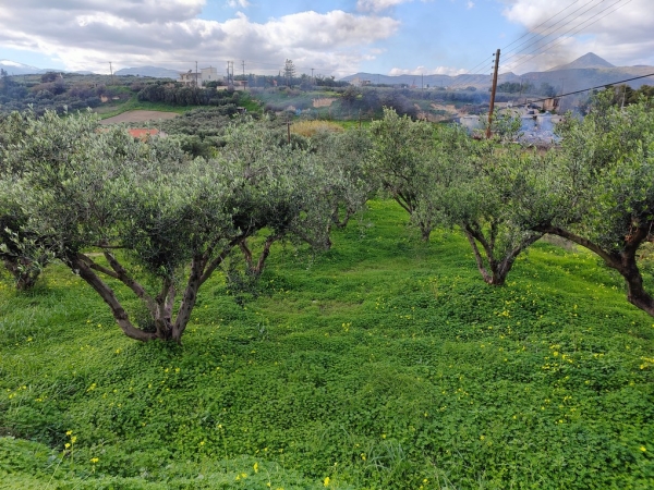 εικόνα ακινήτου