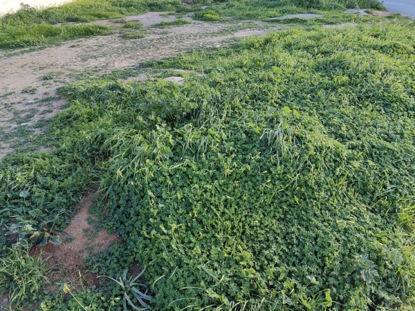 εικόνα ακινήτου