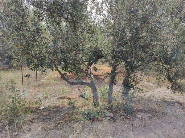 εικόνα ακινήτου