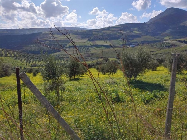 εικόνα ακινήτου