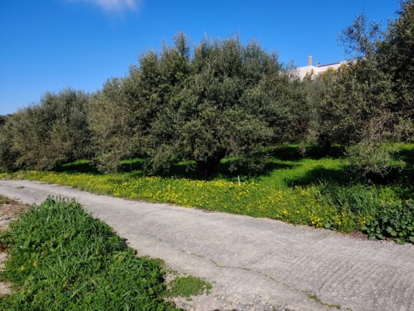 εικόνα ακινήτου